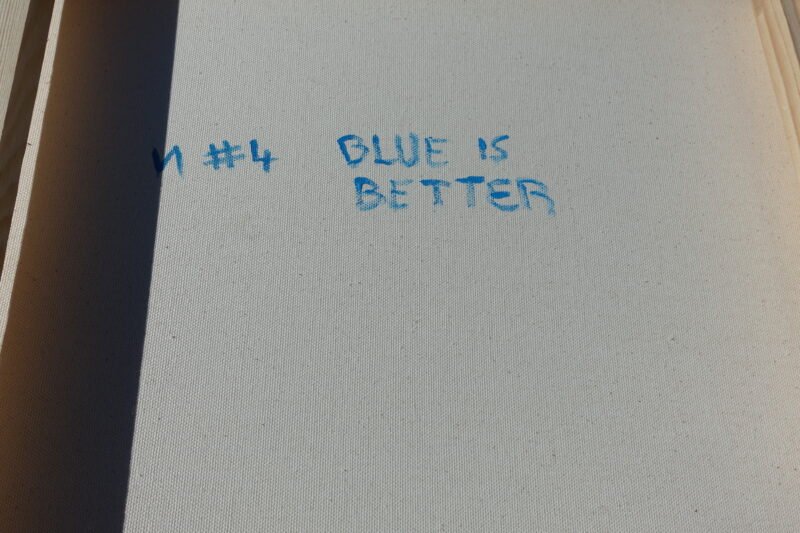 VA #4 - Blue is better - Photo 3