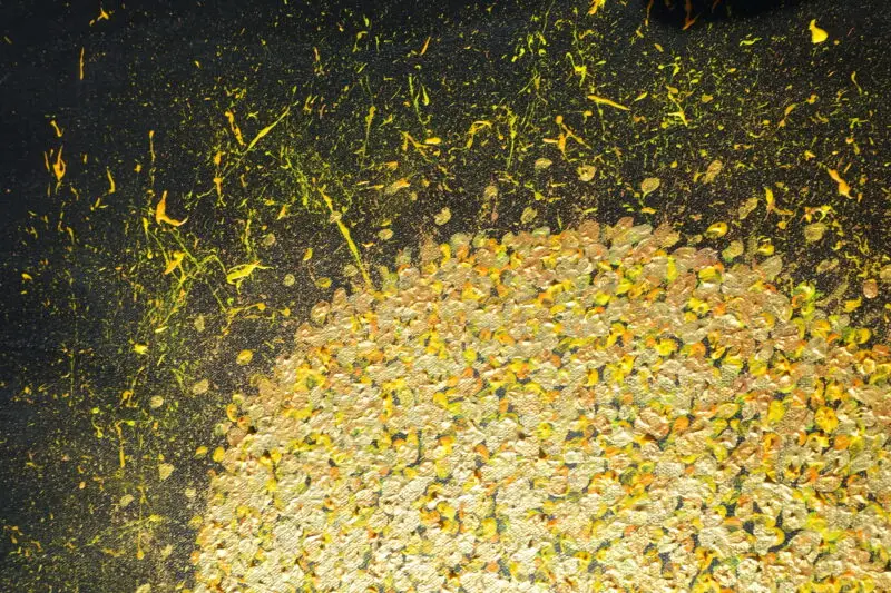 VA #3 - Fireball - Photo 2