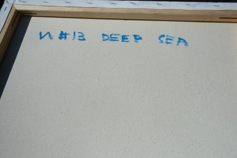 VA #13 - Deep Sea - Photo 4