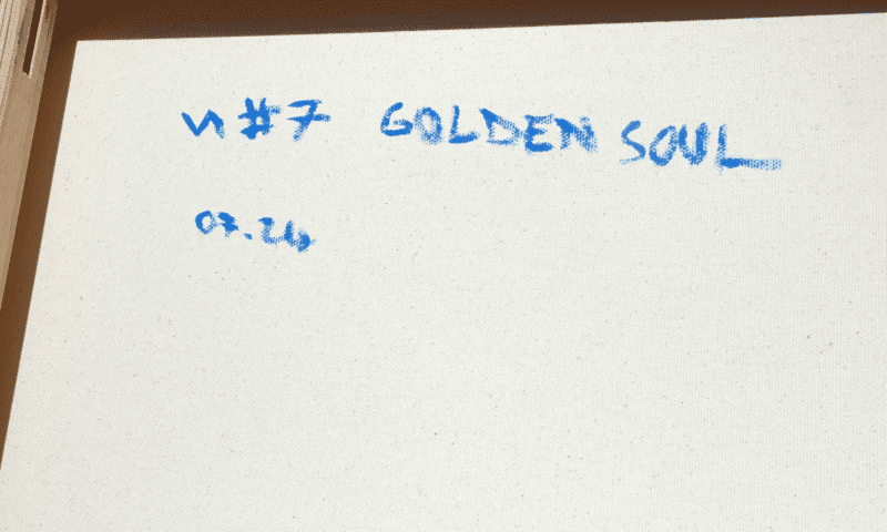 VA #7 - Golden Soul - Photo 7