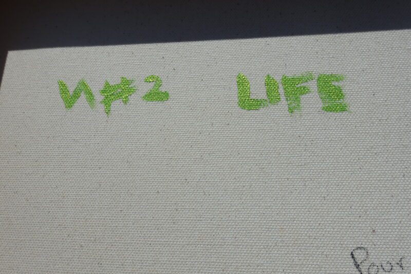 VA #2 - Life - Photo 6