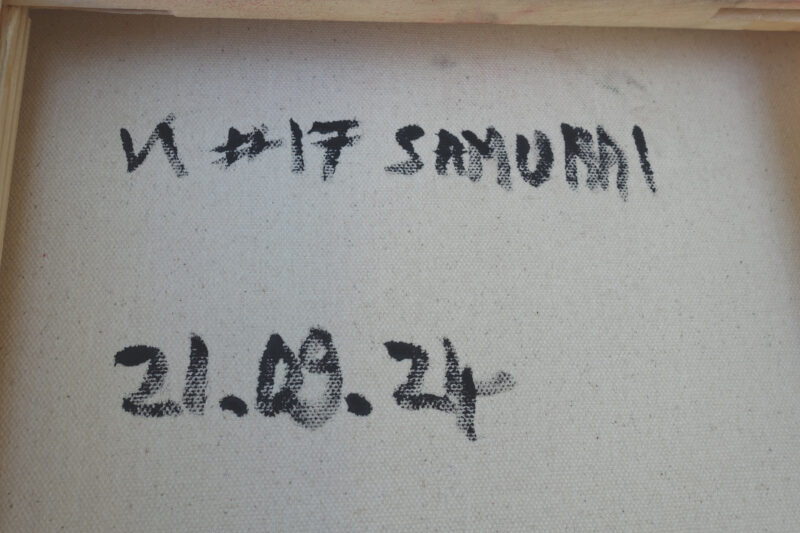 VA #17 - Samurai - Photo 5