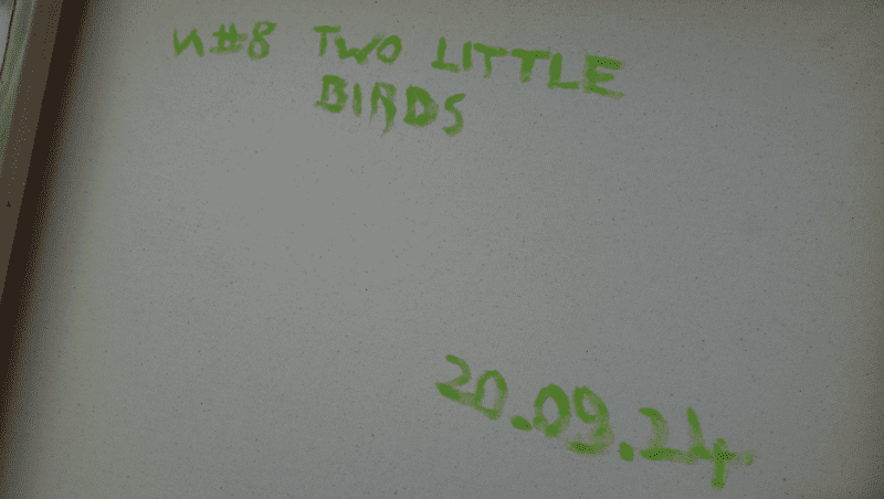 VA #8 - Two little birds - photo 6
